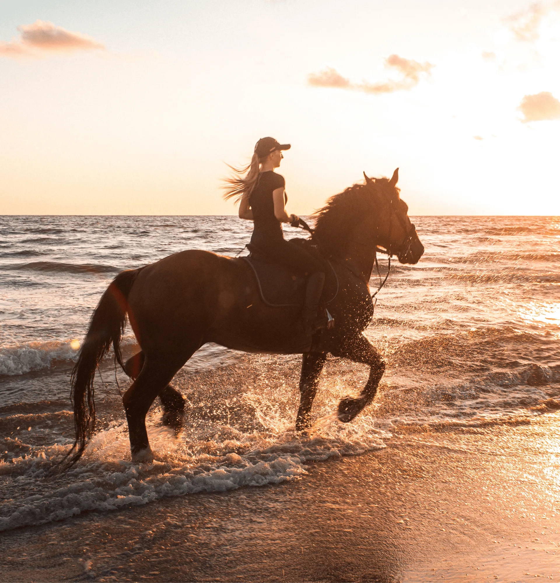 Reiterin auf einem Pferd am Strand im Sonnenuntergang