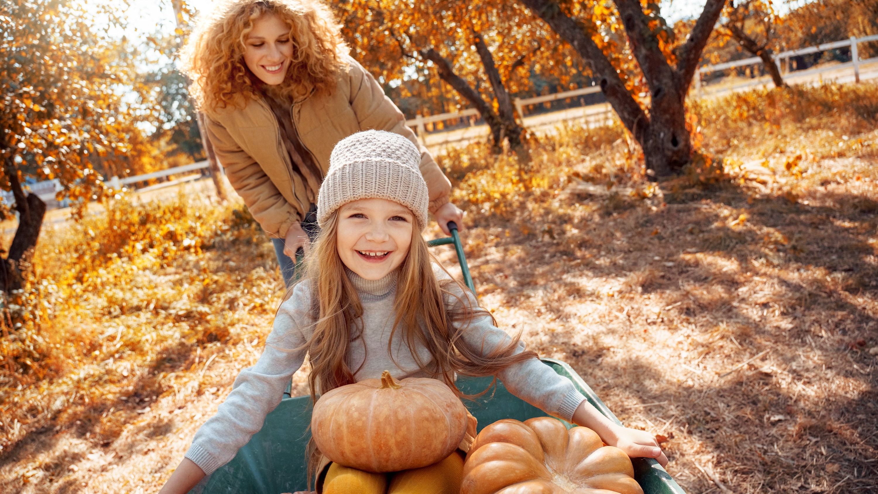 A mother pushing her smiling daughter in a wheelbarrow full of pumpkins in a sunny autumn field, representing local seasonal fun near The Grand at Riverside in Evans, CO.