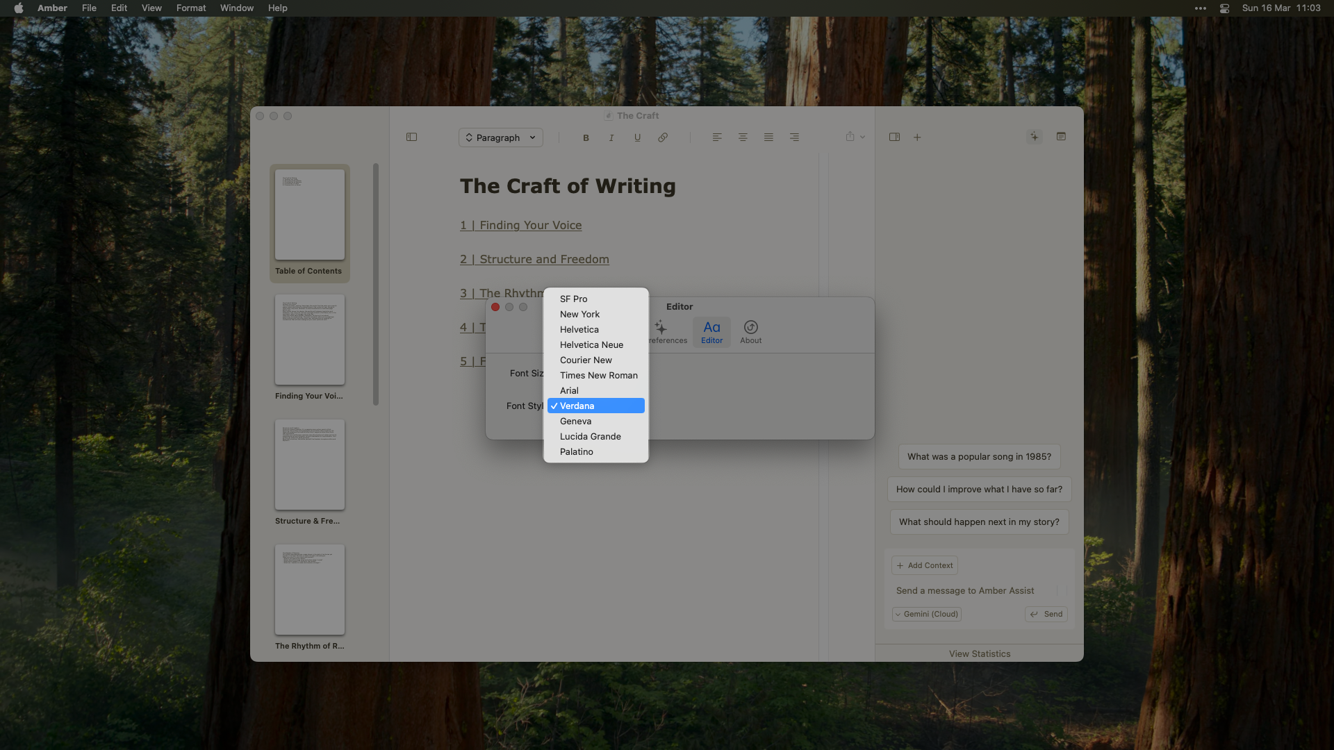 Amber's font selection menu