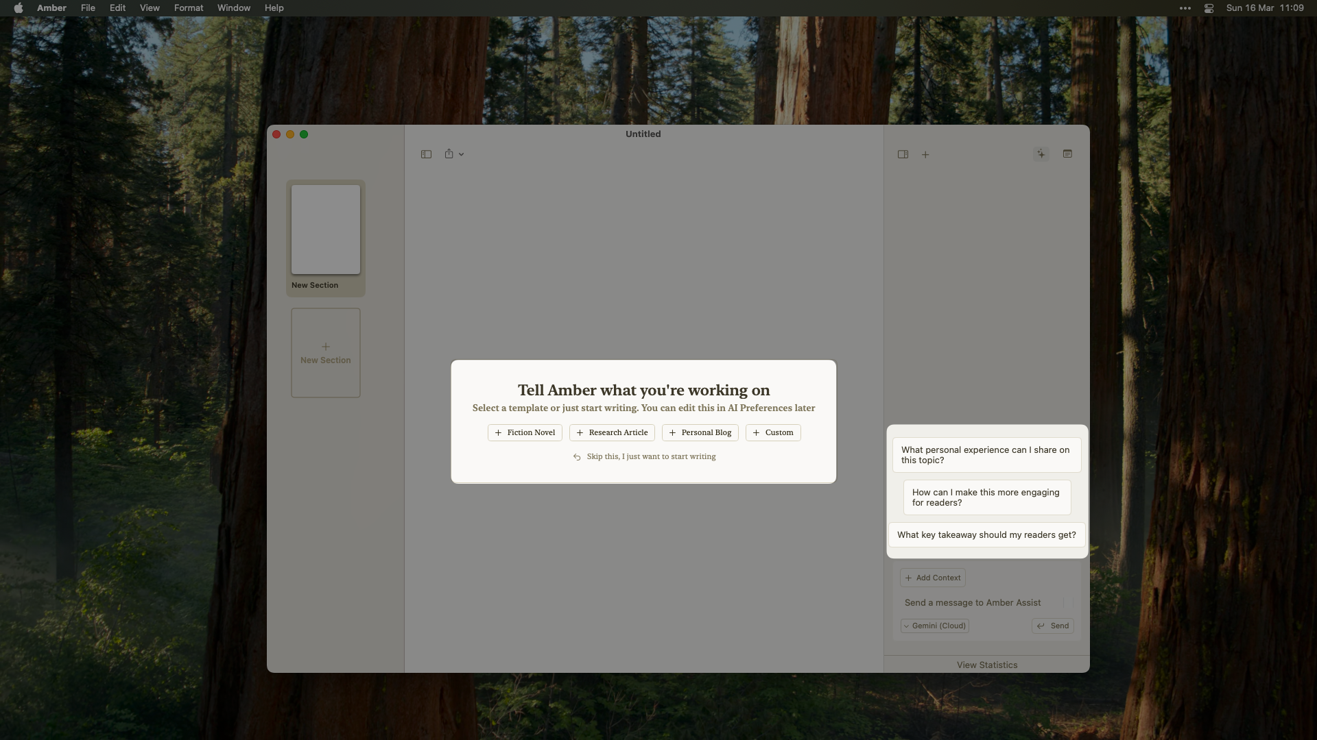 Amber's custom context questions