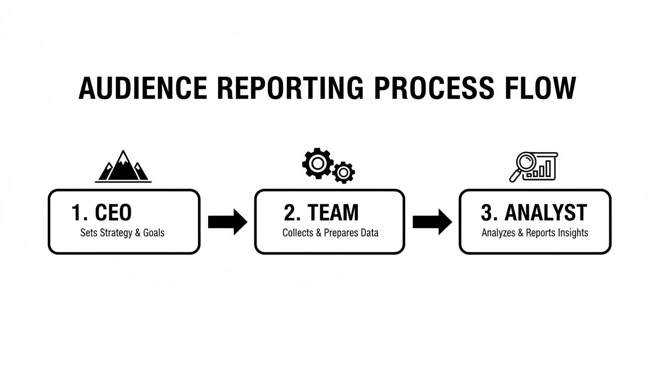 A process flow diagram illustrating audience reporting steps by CEO, Team, and Analyst.