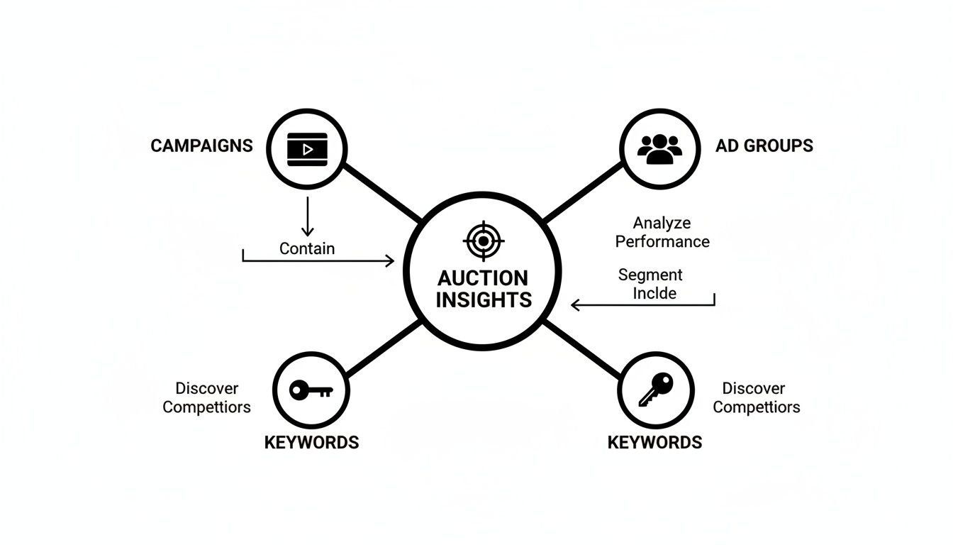 Diagram detailing how campaigns, ad groups, and keywords contribute to auction insights for competitive analysis.