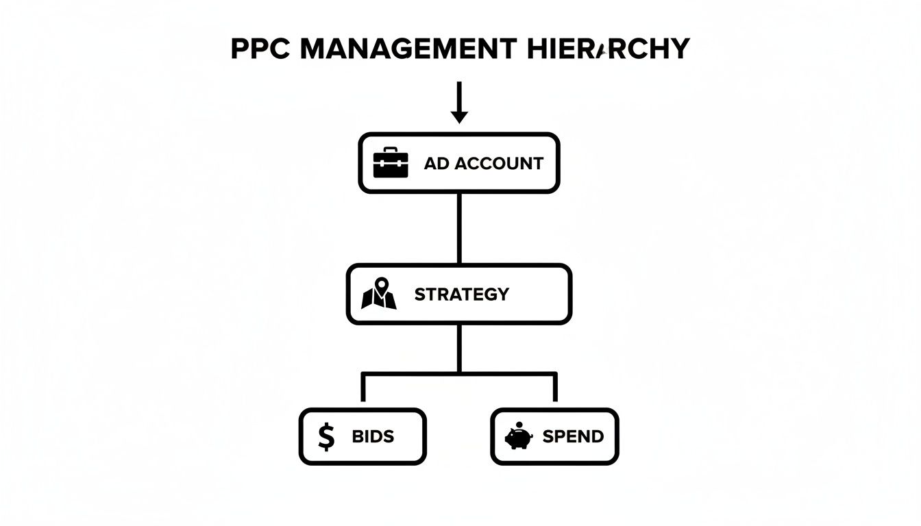 A diagram illustrating the PPC management hierarchy from ad account to strategy, bids, and spend.