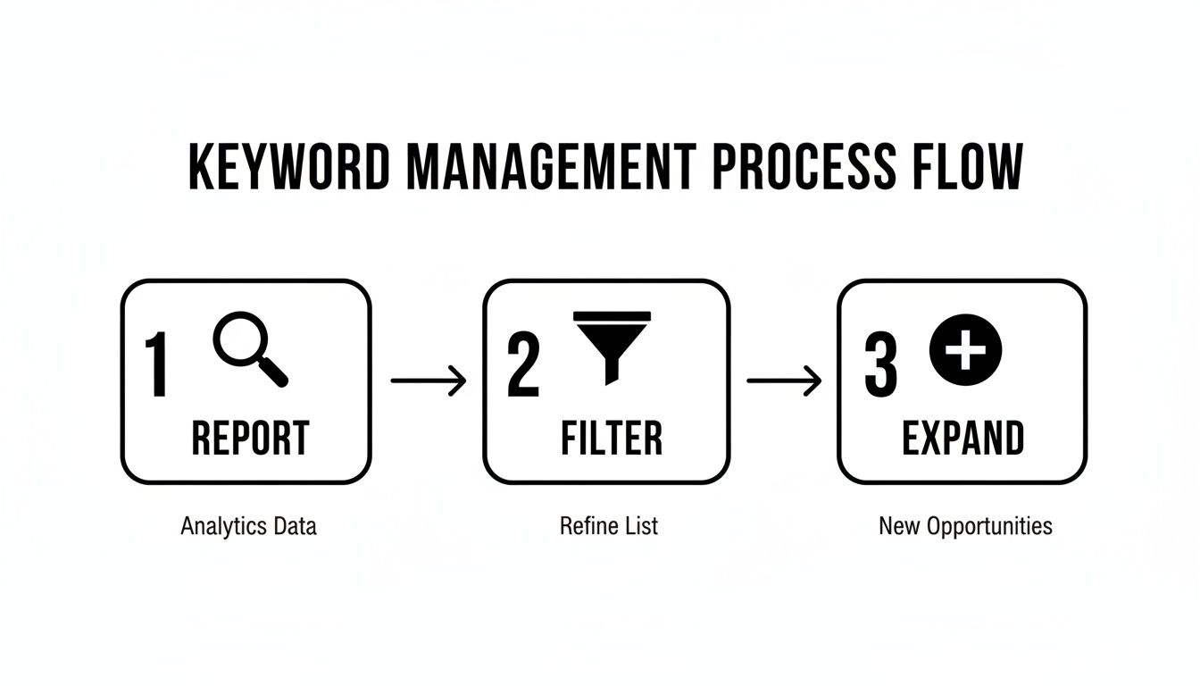 A three-step keyword management process flow showing report, filter, and expand stages.