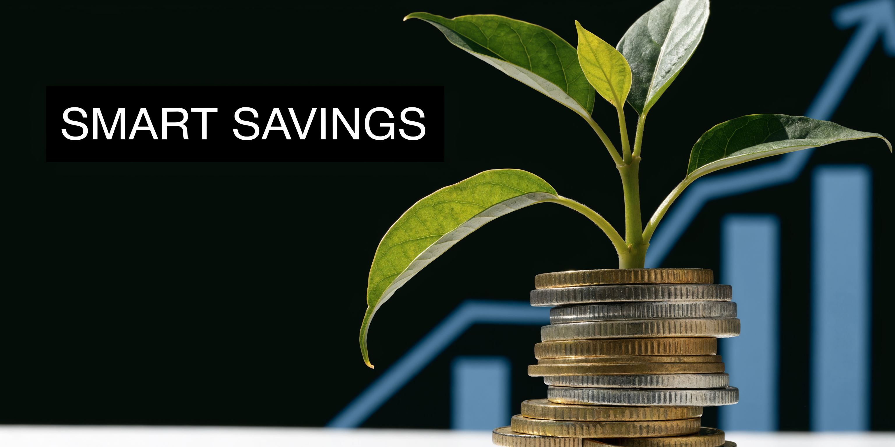 A small green plant growing out of a stack of gold and silver coins against a graph.