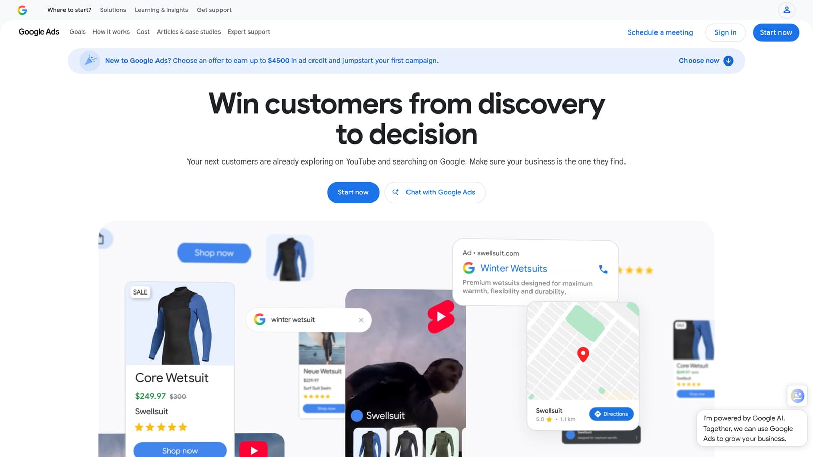 Screenshot of Google Ads Native Dashboard website