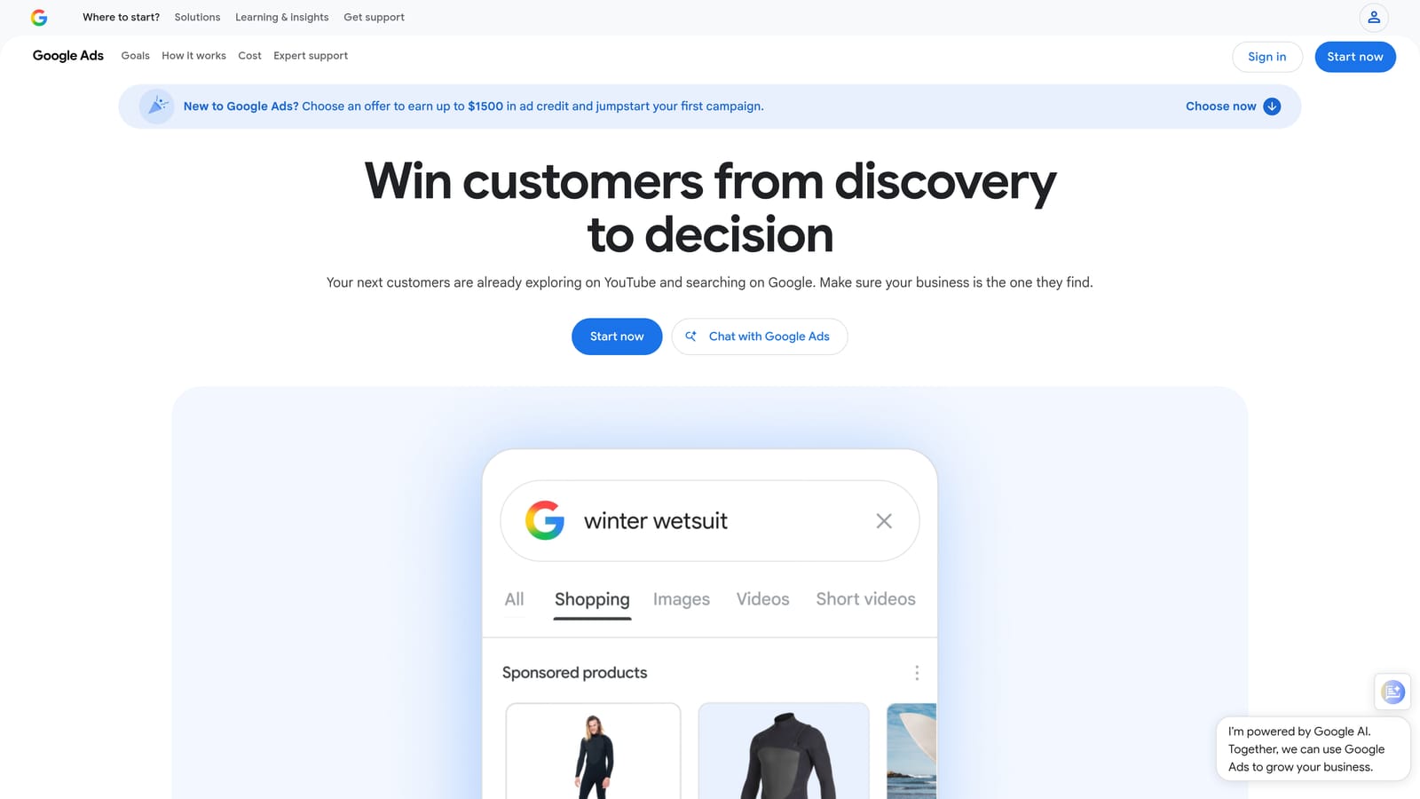 Screenshot of Google Ads Search Terms Report (Native) website