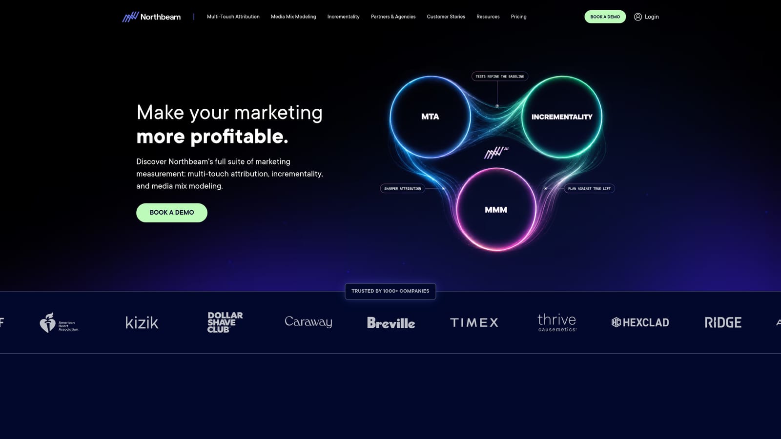 Screenshot of Northbeam website