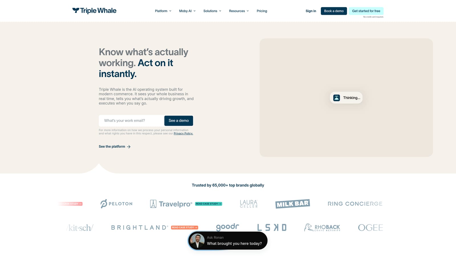 Screenshot of Triple Whale website