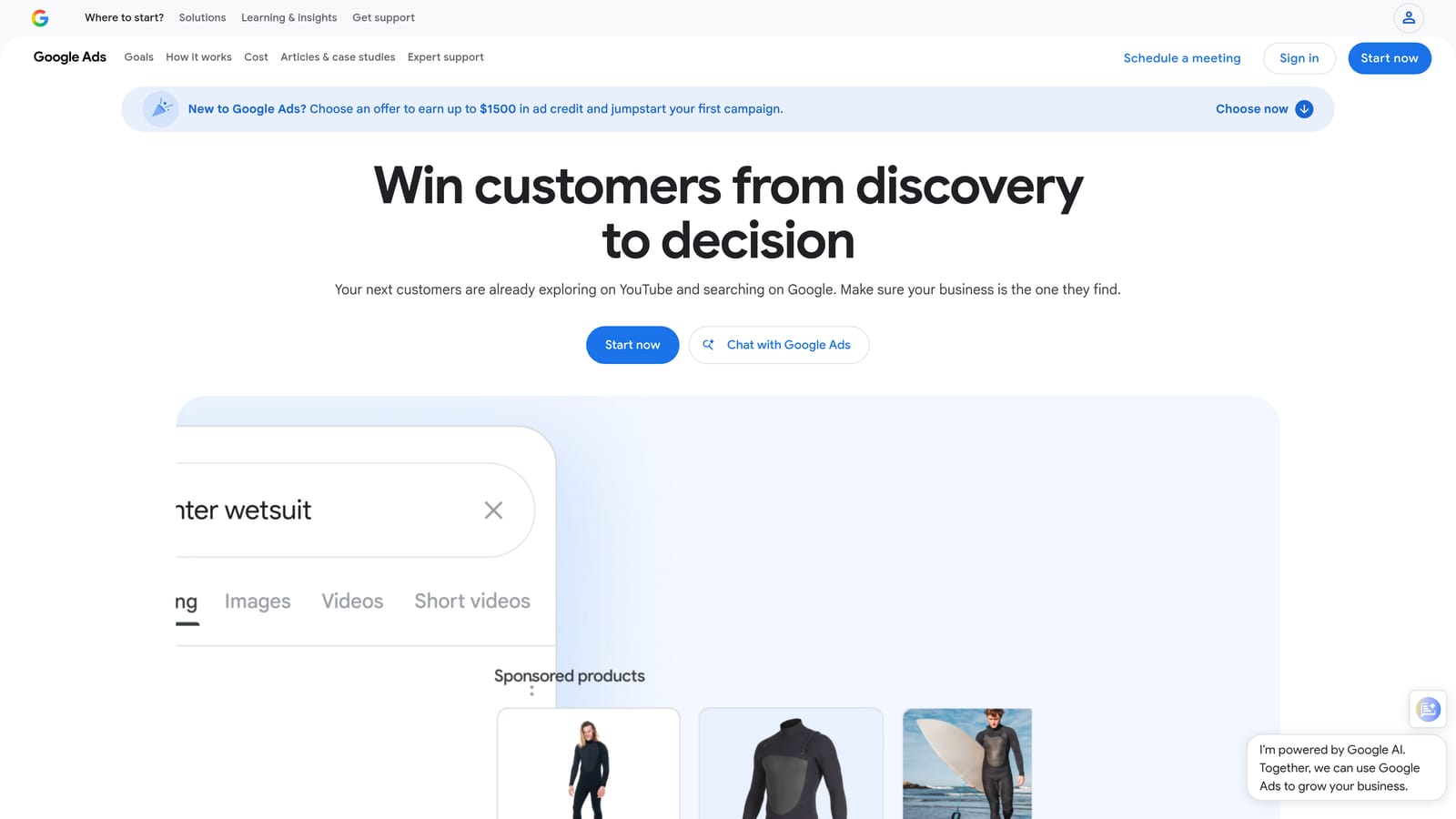Screenshot of Google Ads Native Search Terms Tools website