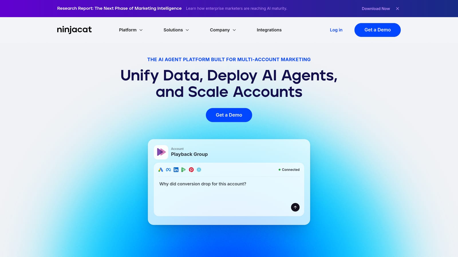 Screenshot of NinjaCat website