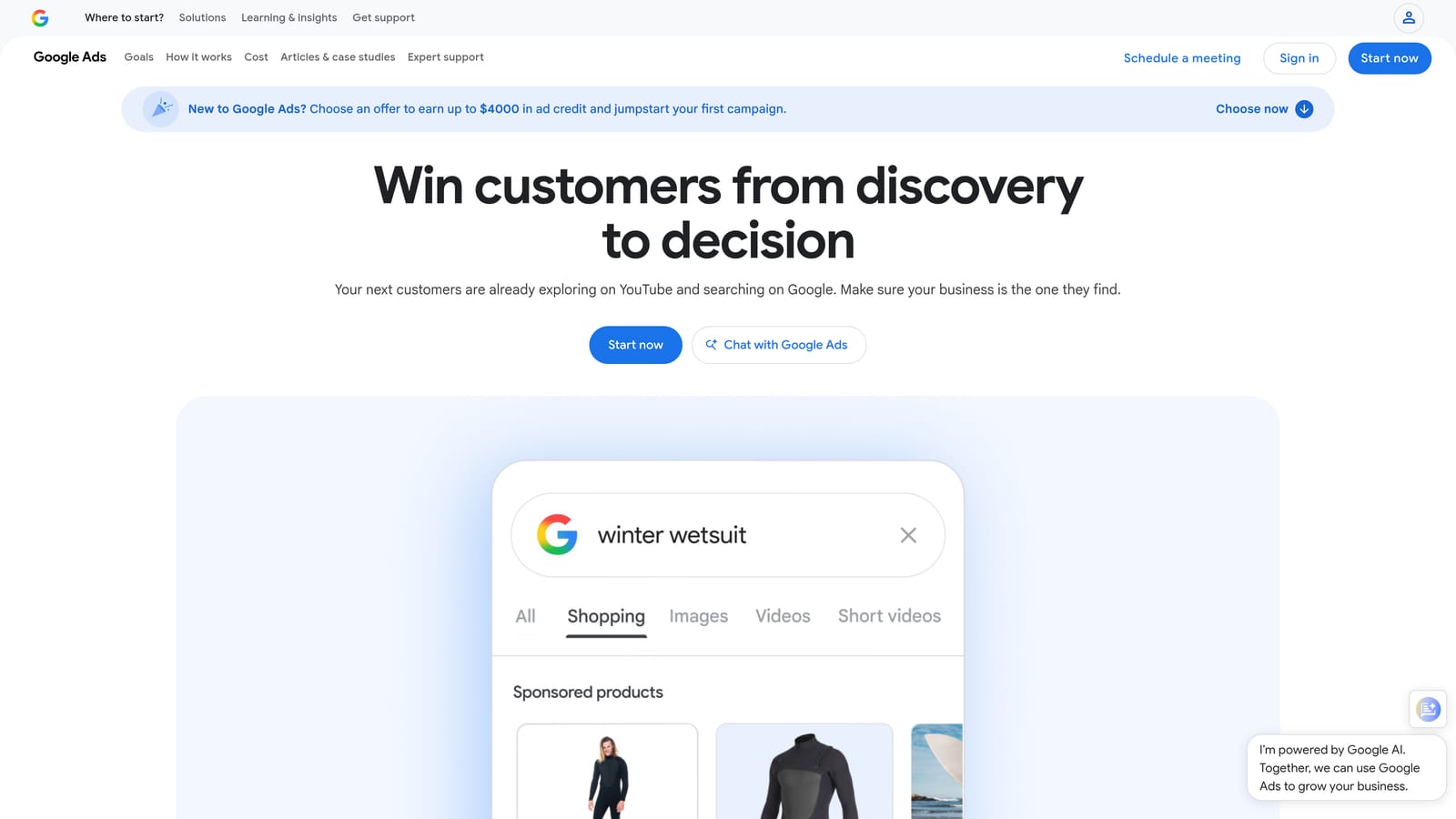 Screenshot of Google Ads Search Terms Report website