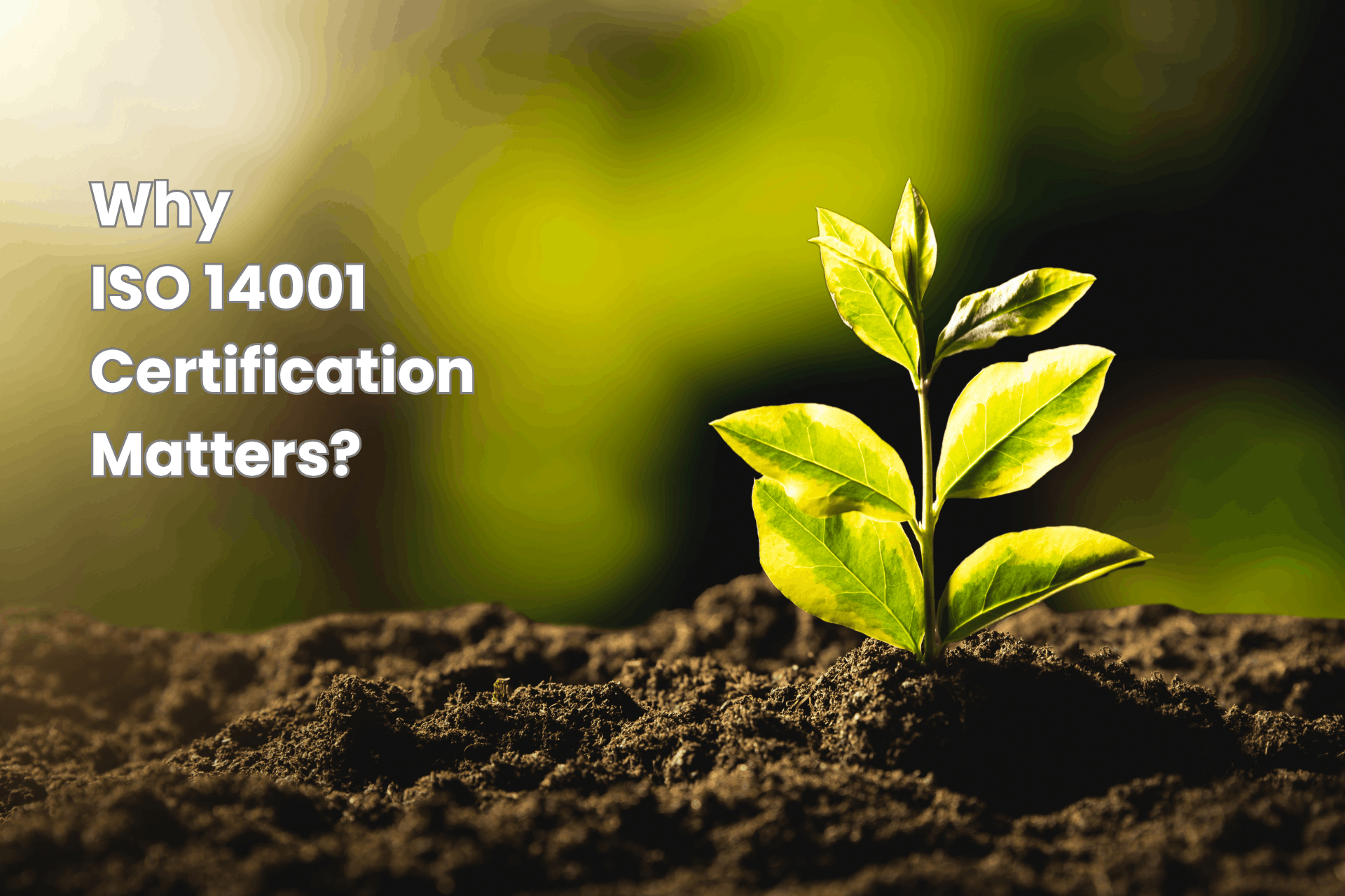 Why ISO 14001 certification matters for organizations and environmental compliance in 2026.