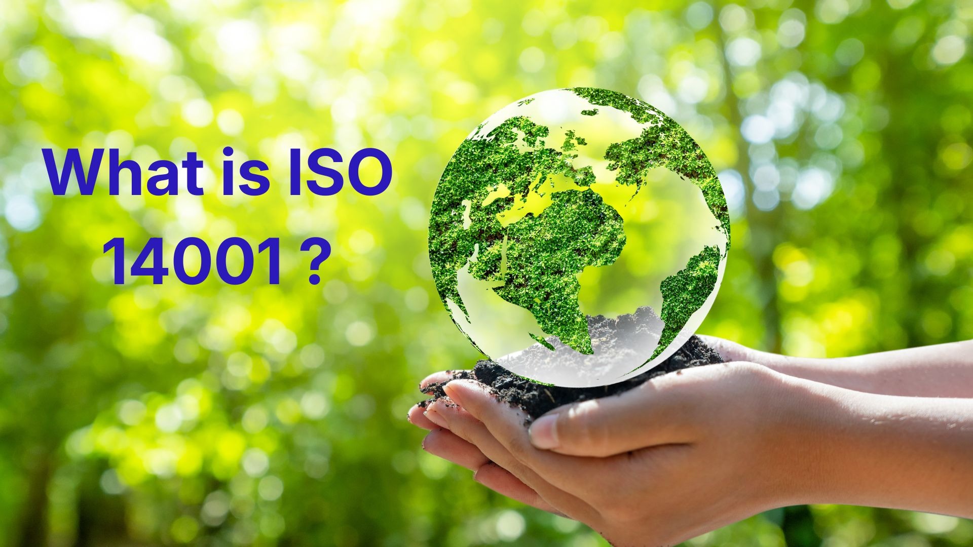 ISO 14001 environmental management system overview showing waste control, energy use, and compliance processes for US businesses.