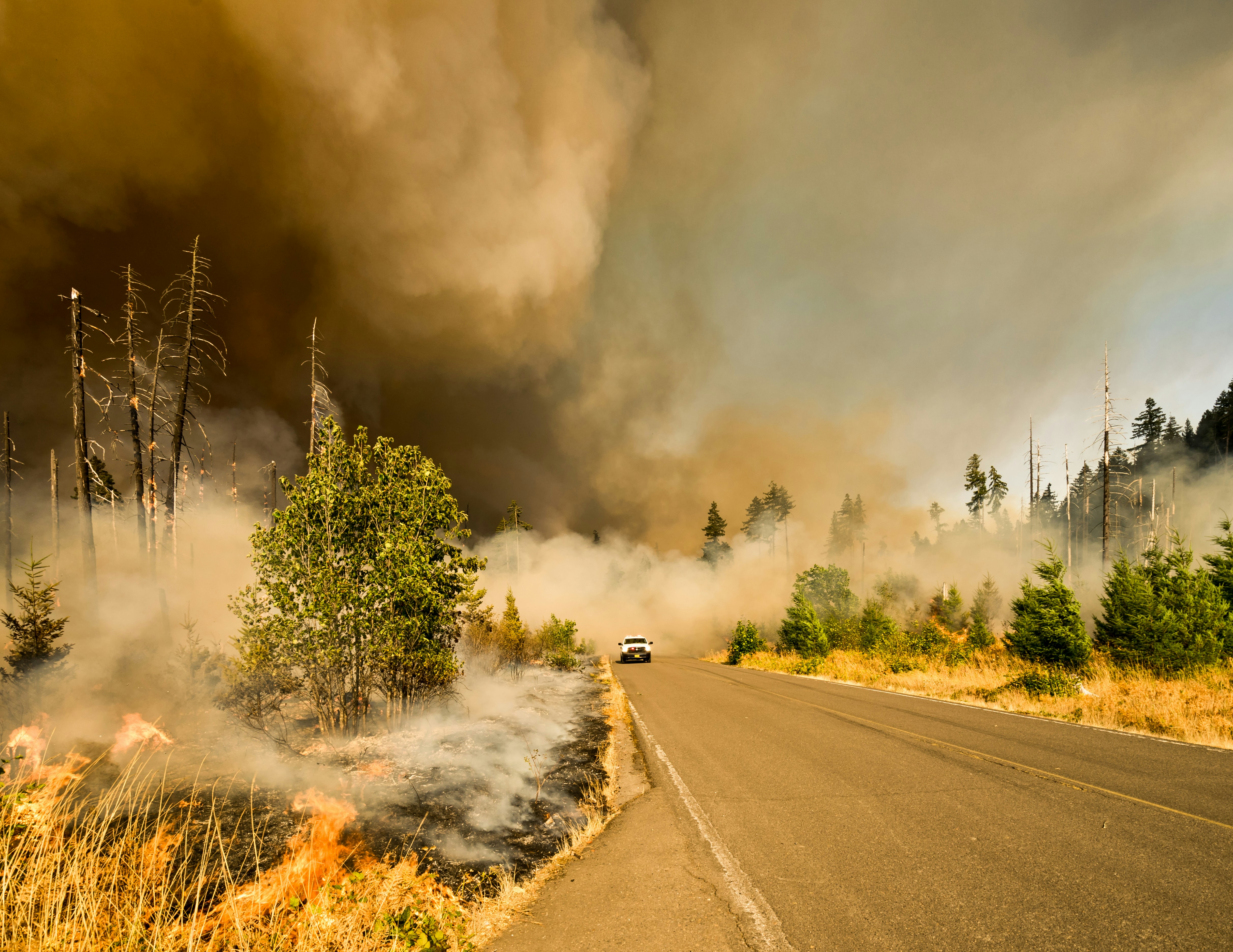 How to Protect Your Home’s Air Quality During Wildfire Season and How Your HVAC System Can Help