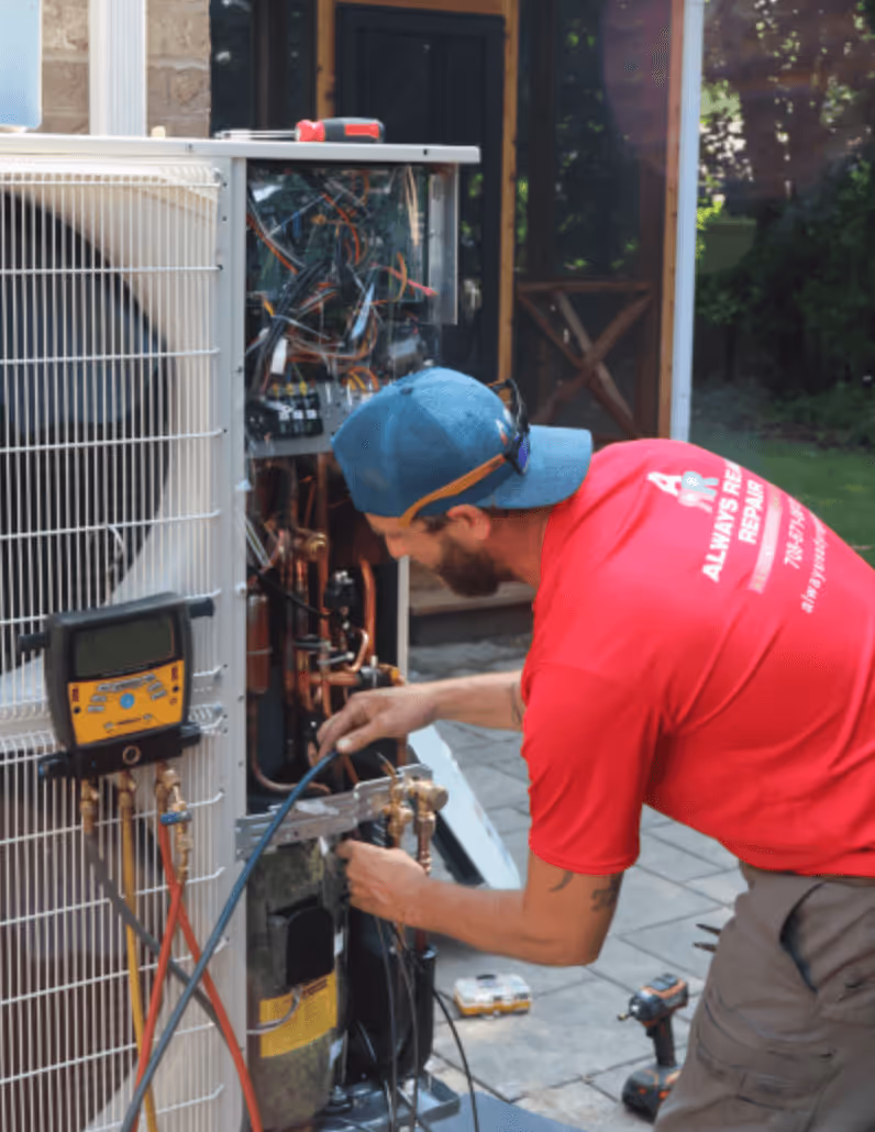 Chicago Allergy Season Never Really Ends