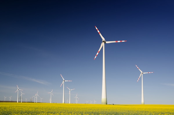 Wind turbines in the rape seed field