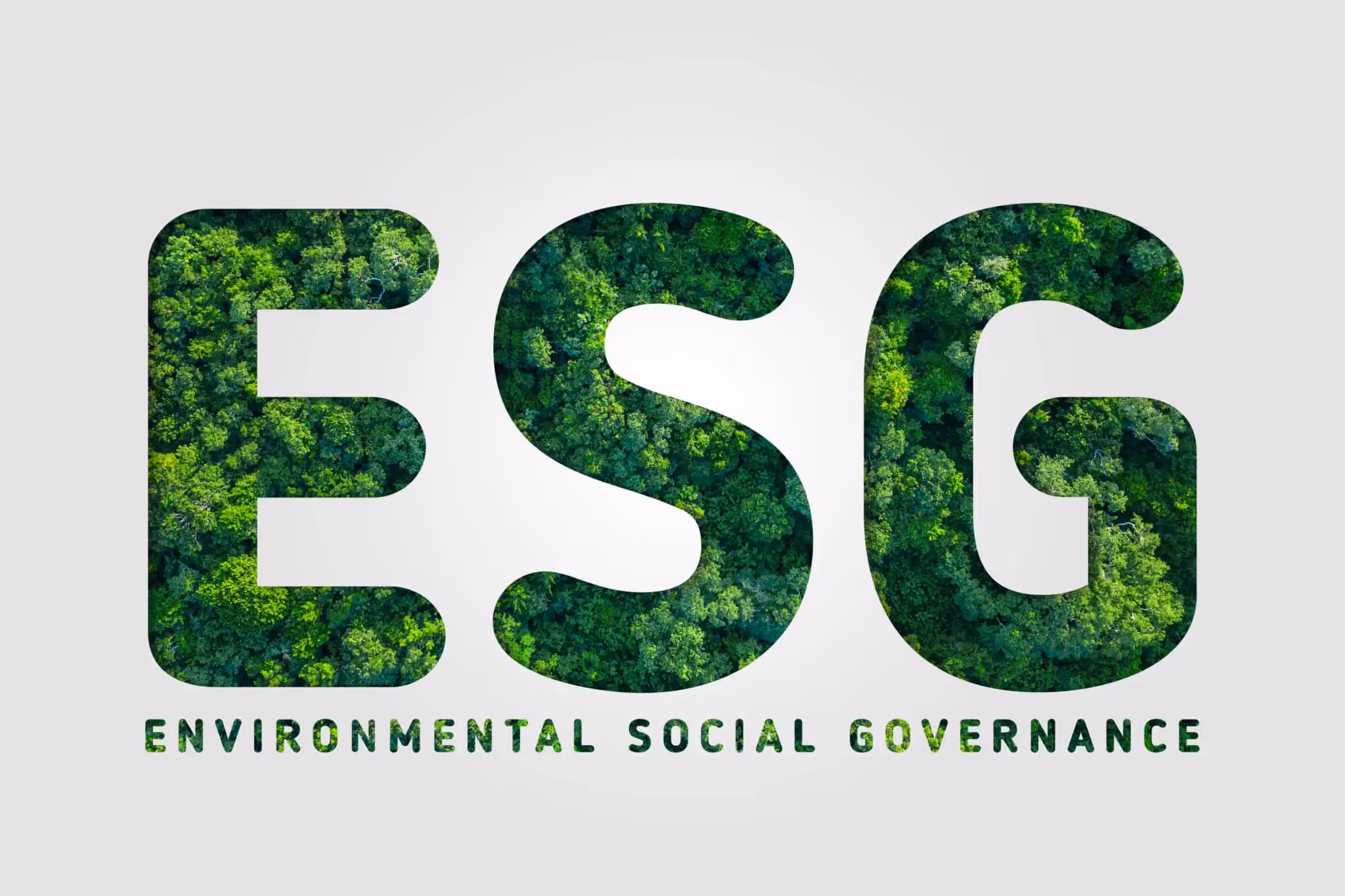 ESG reporting framework illustrating environmental impact, social responsibility, and governance practices