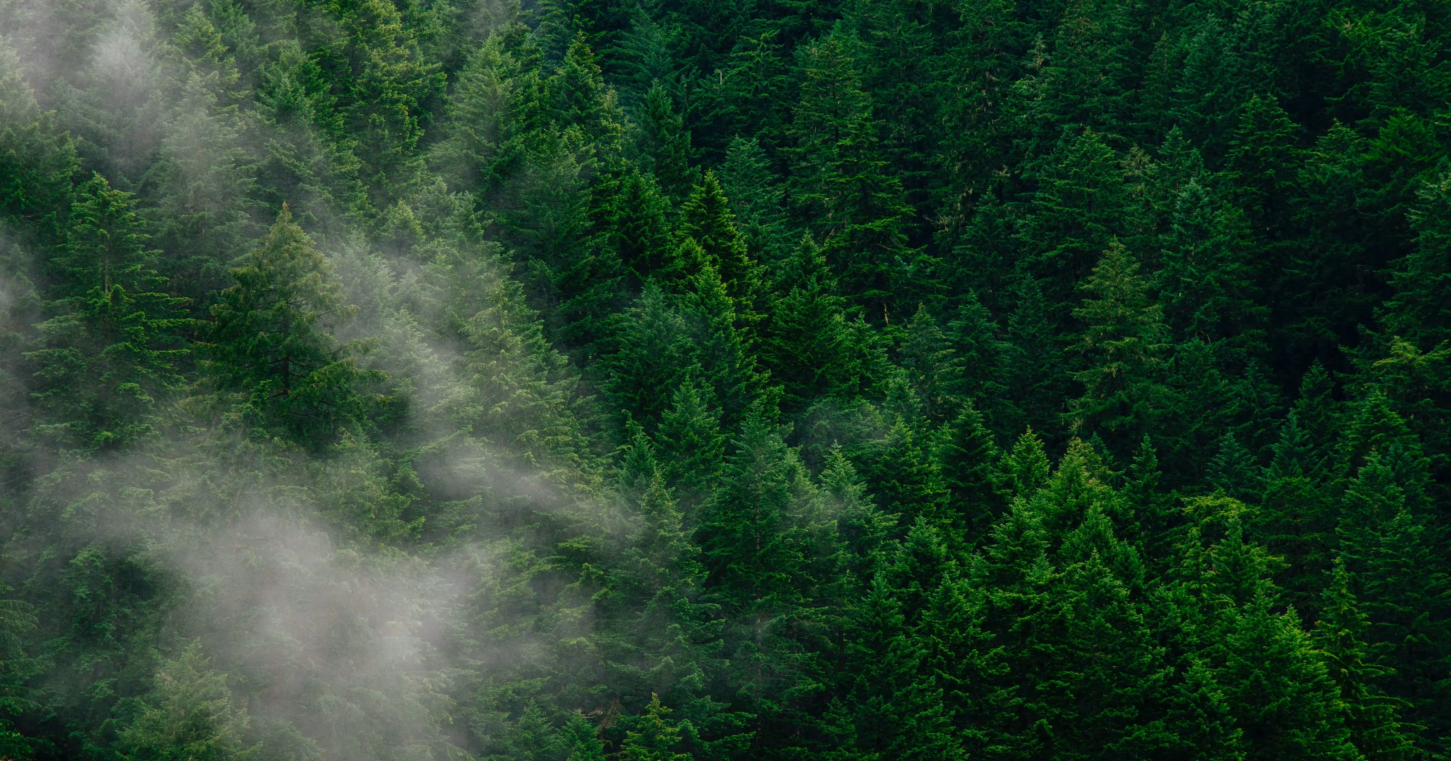 Global business adapting to stakeholder capitalism principles, with emphasis on ESG reporting and sustainability standards like GRI
