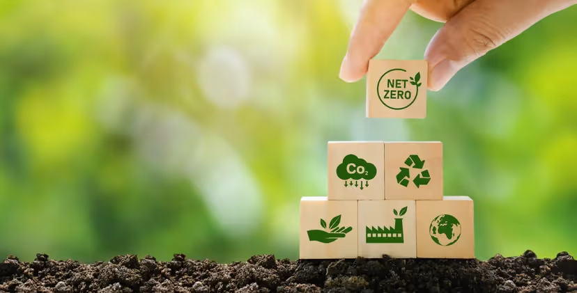 Detailed steps involved in developing a science-based targets decarbonization roadmap.