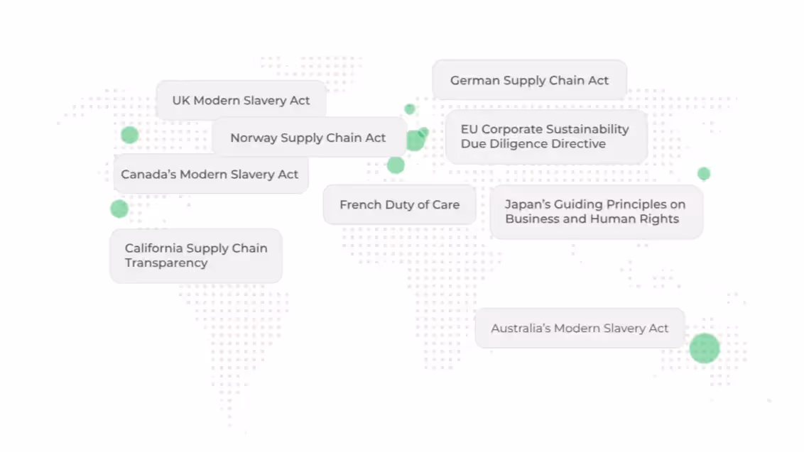 Global supply chain transparency meeting regulatory requirements like BRSR in India and CSRD in Europe