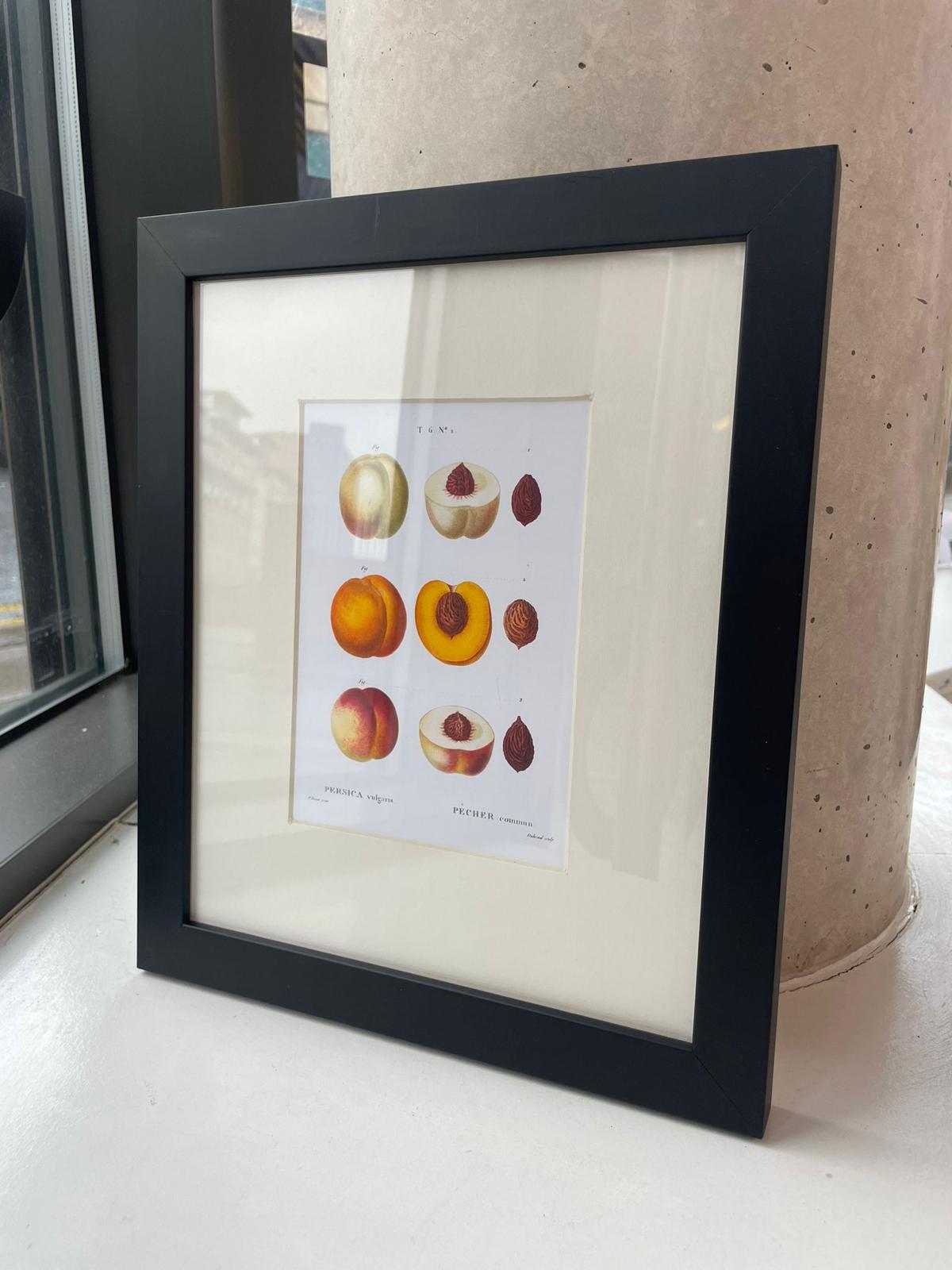 Framing of artists prints