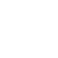 Icon of a firewall