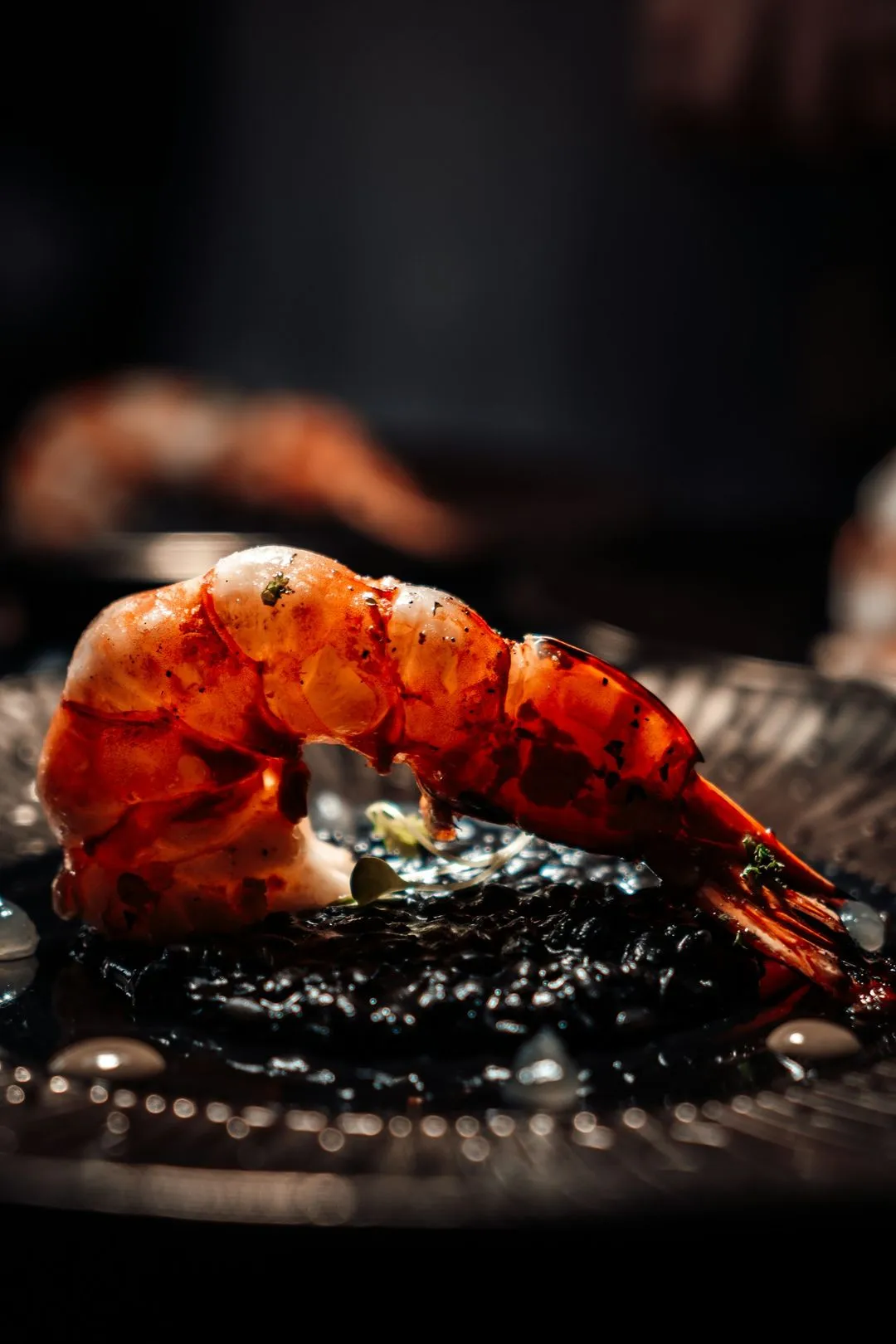 Shrimp