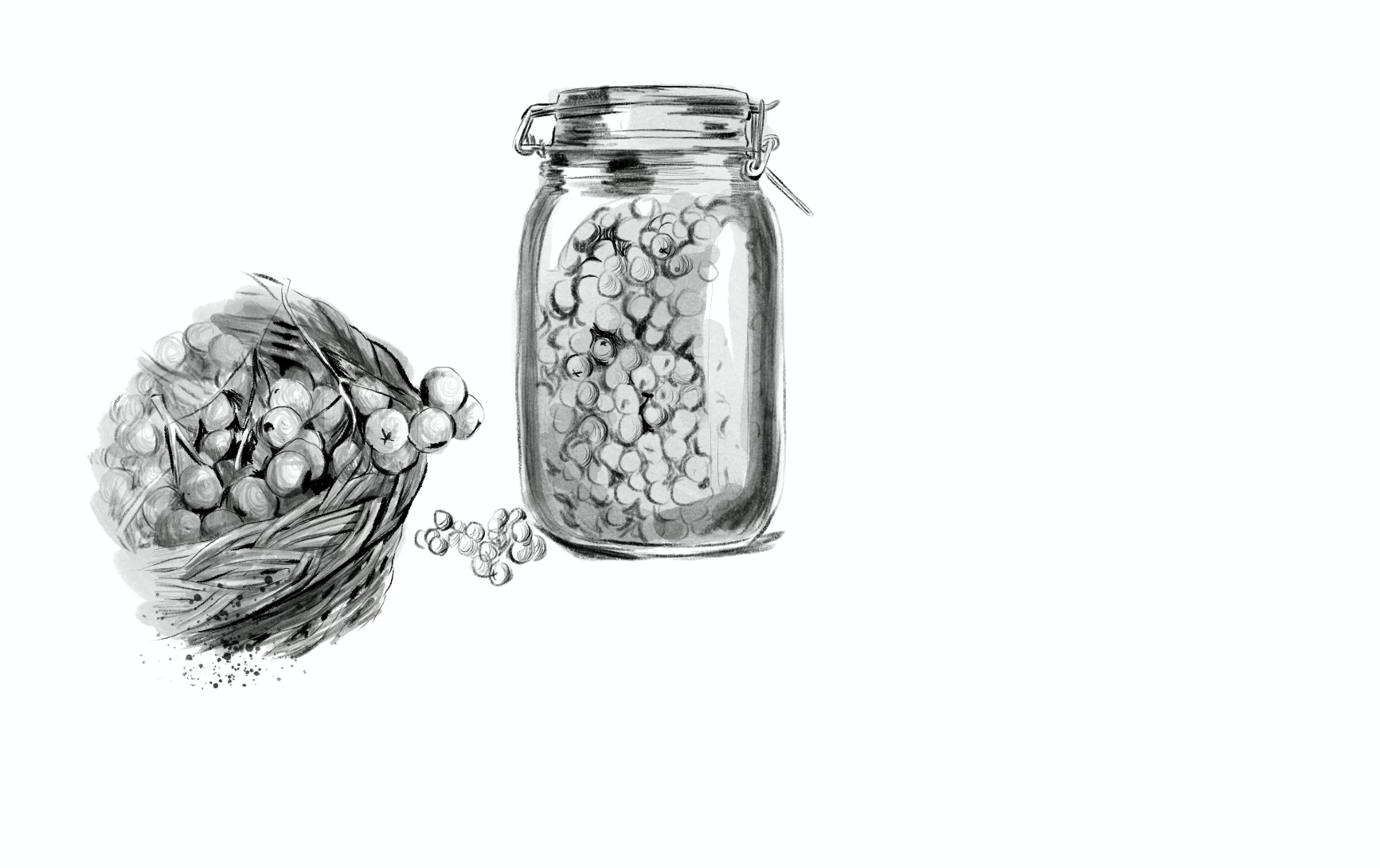 Drawing video screenshot of berries and a glass jar.