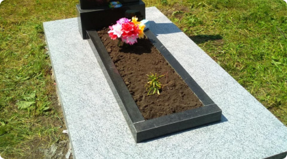 Відкритий квітник