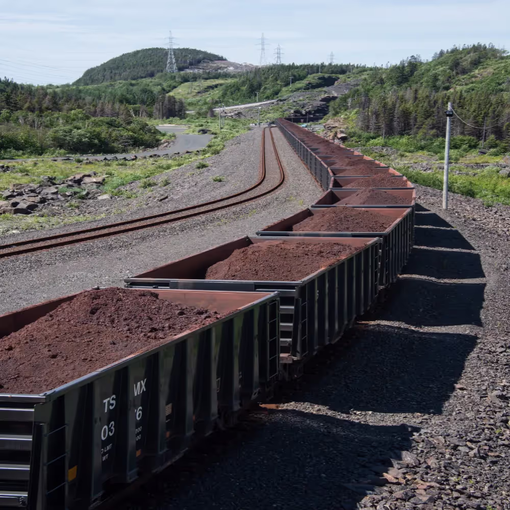 Add description here