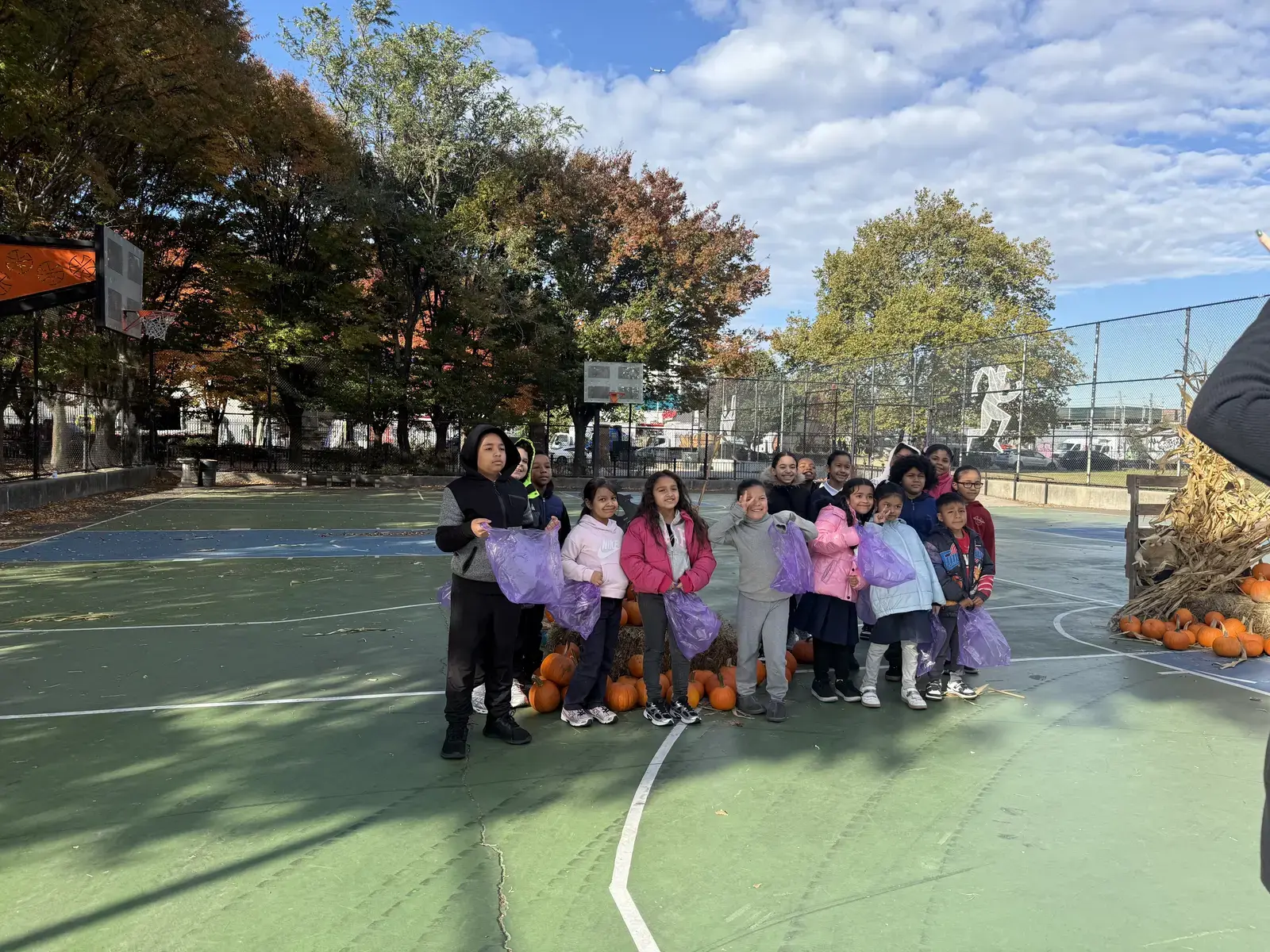 Pumpkin Patch in the Yard Album