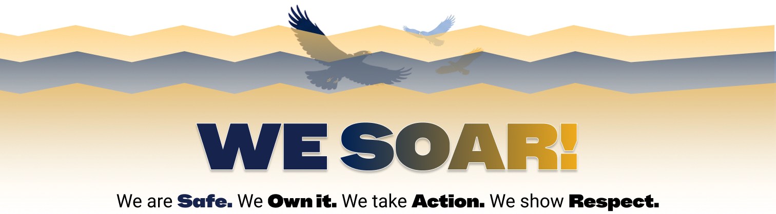 We SOAR school values banner with eagles in flight