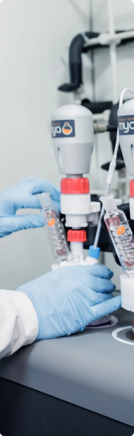 Modern lab equipped with high-tech tools for process and analytical development