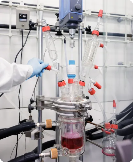 Scale up and pilot lab at Honour