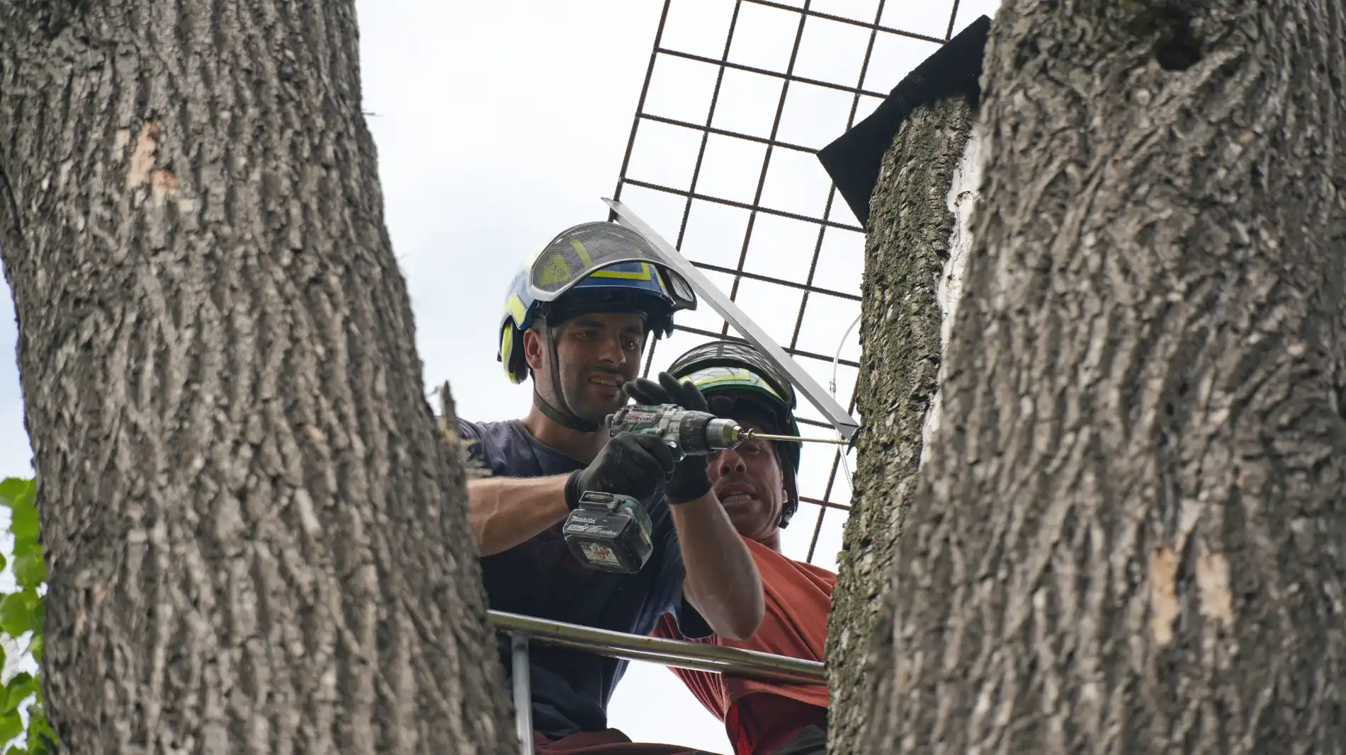 Dva arboristé v ochranných helmách s jištěním v koši plošiny při práci.
