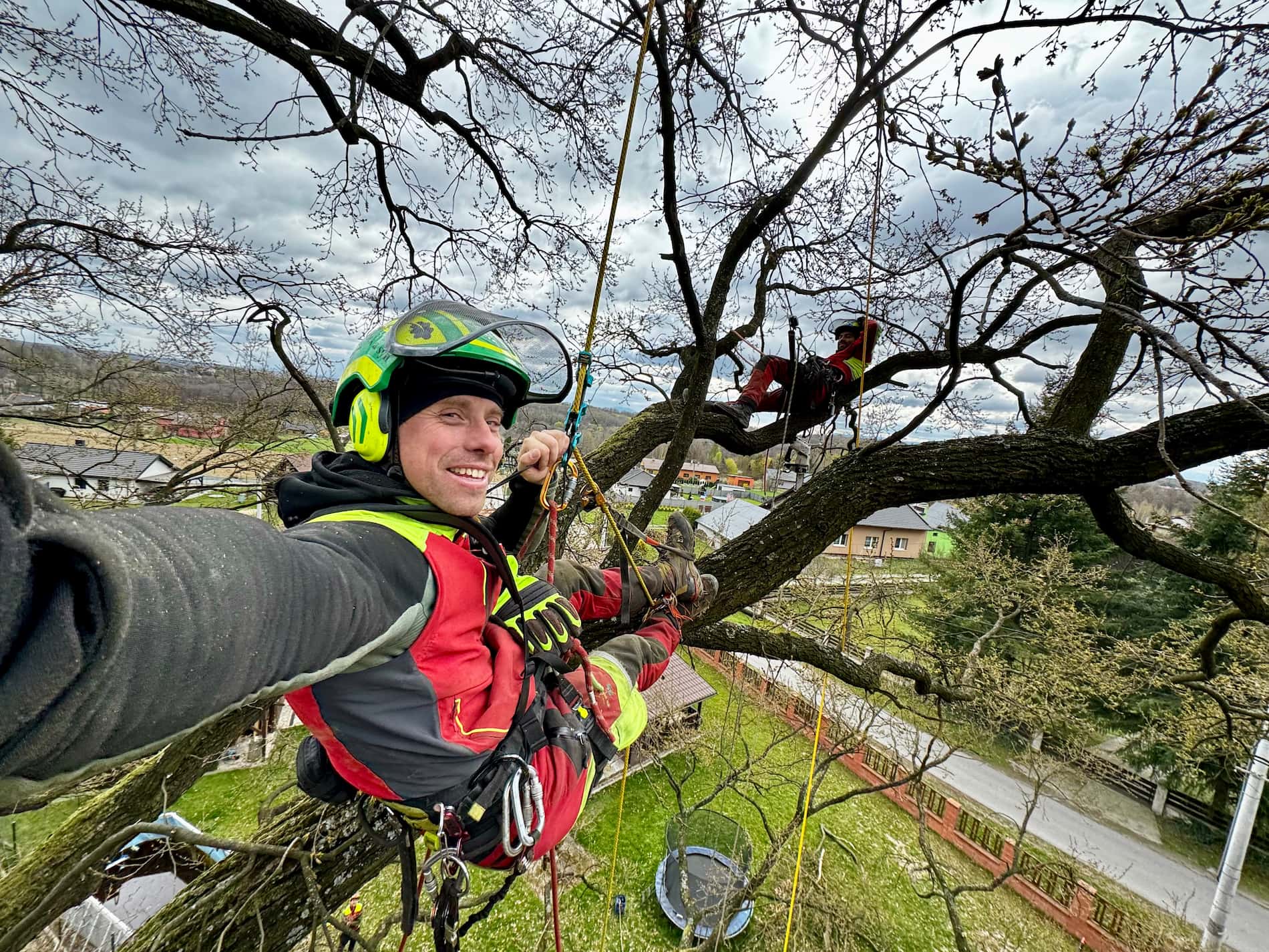 Arboristé firmy doubek a vnuci Jakub a Filip na stromě majéstátném dubu v obci karviná