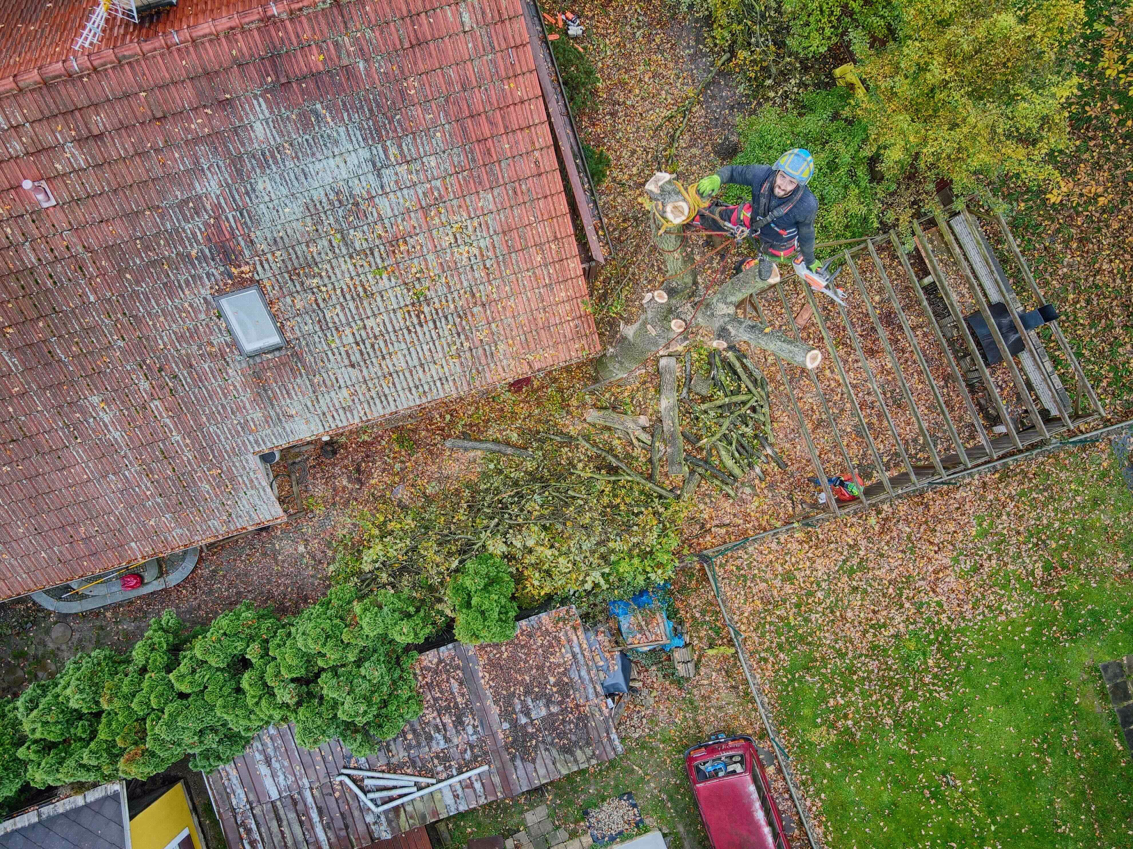 zaběr z nebe na muže stojícího v koruně káceného stromu, dole dům, pergola a zahrada