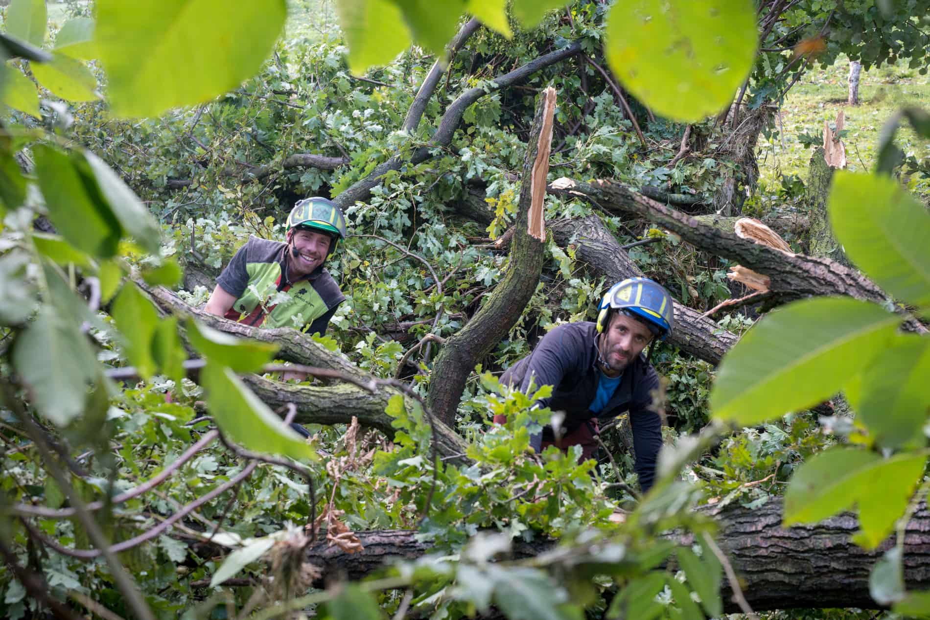 filip a jakub dva arboristi firmy doubek a vnuci při větrné kalamitě pomáhají odklidit trosky stromu