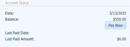 Account status screen with a balance due. Next to "Balance" there is a dollar amount and a "Pay Now" button below it.