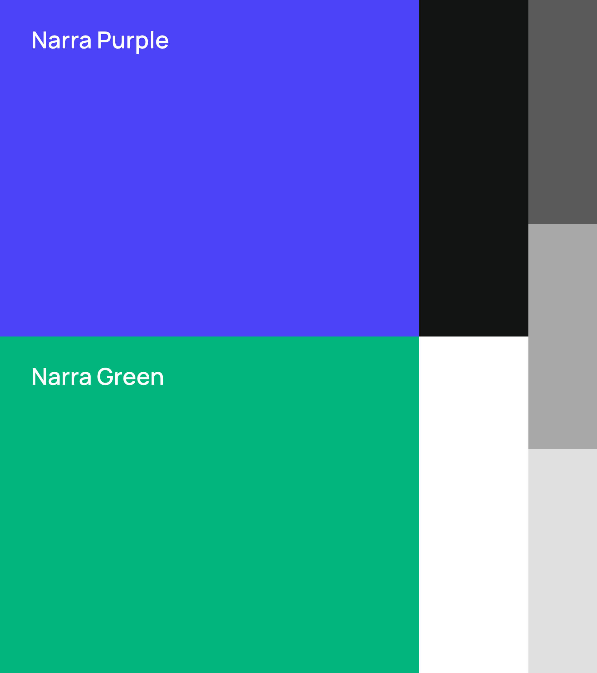 NarraLabs Color Palette 1