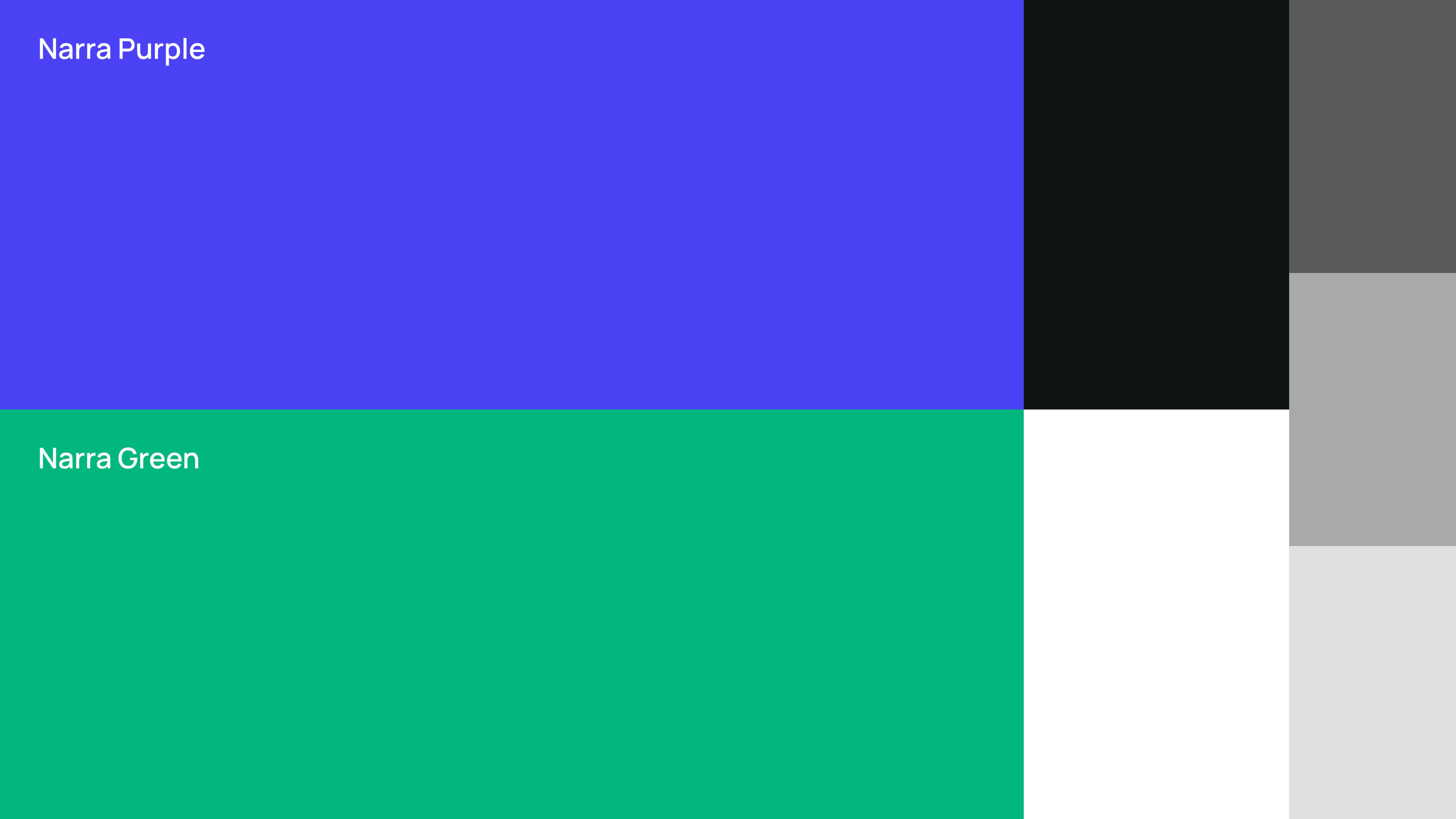 NarraLabs Color Palette 2