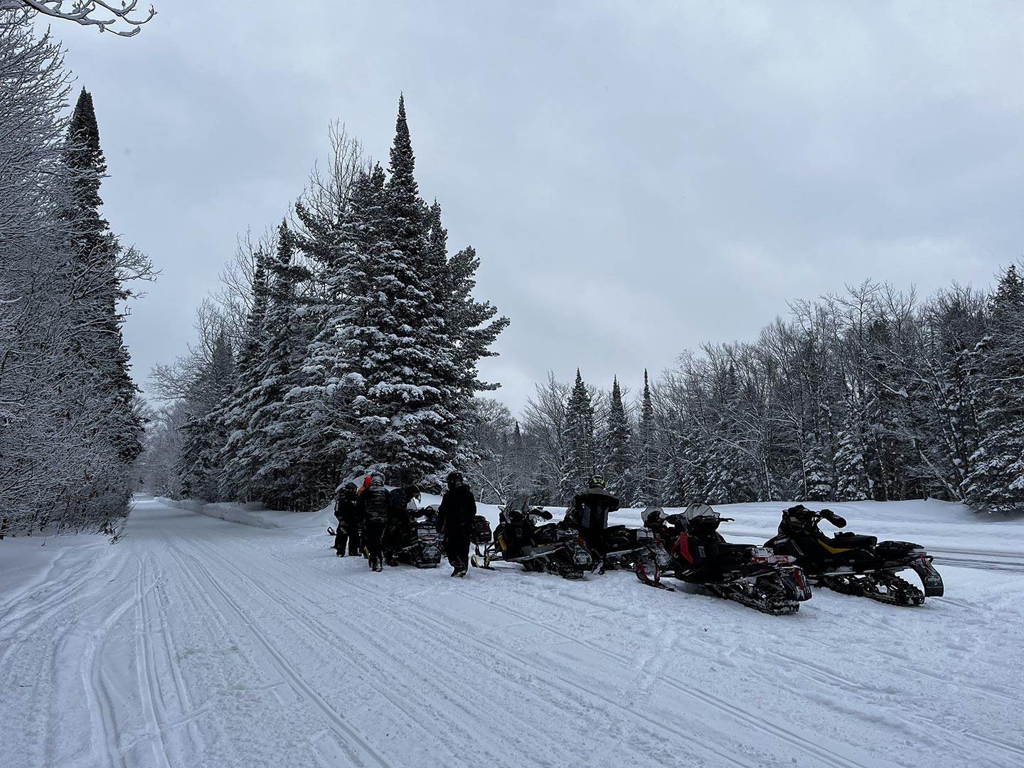 data trail snowmobilers pine trees