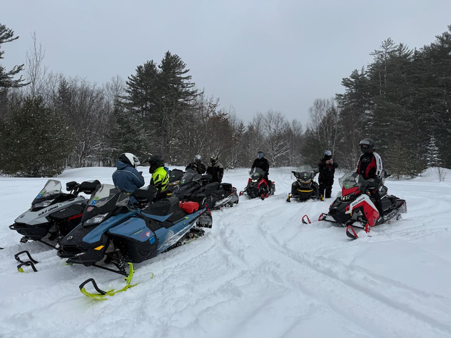 data trail seven snowmobiles