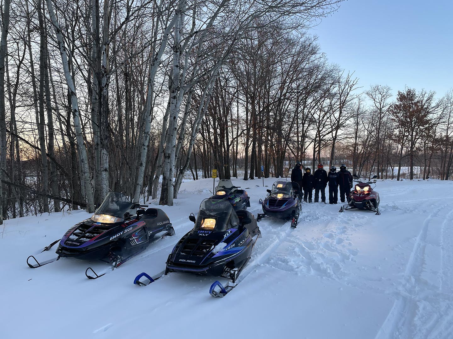 data trail snowmobiles by trees