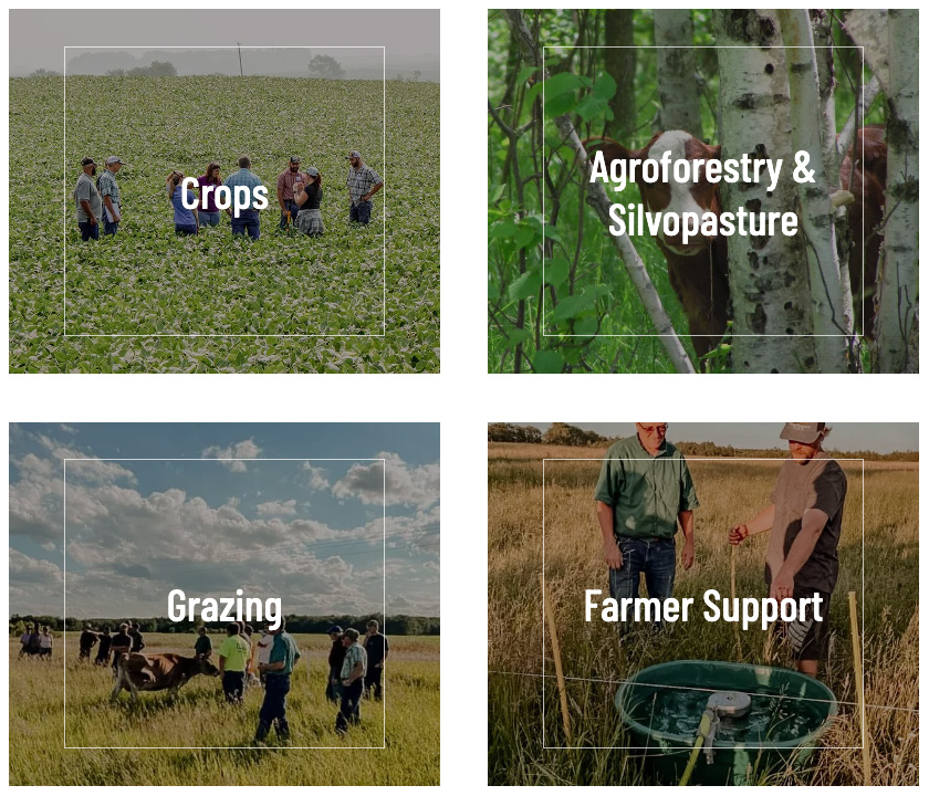 SFA Agassiz Chapter Group Types 2