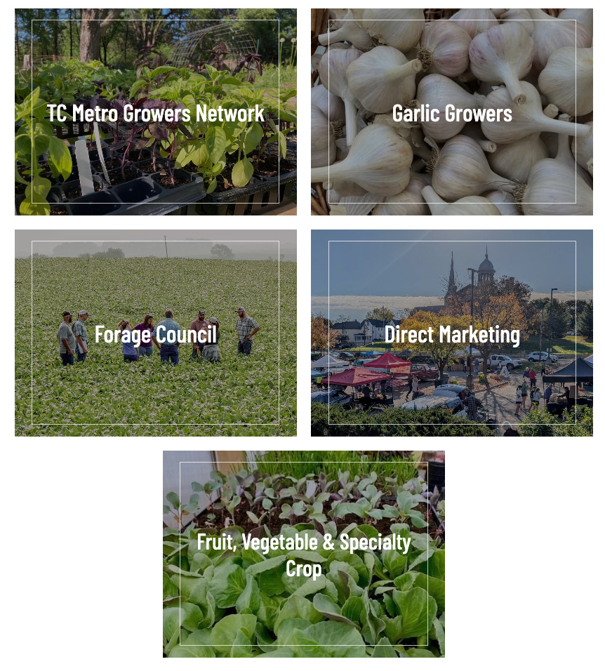 SFA Focus Group Types