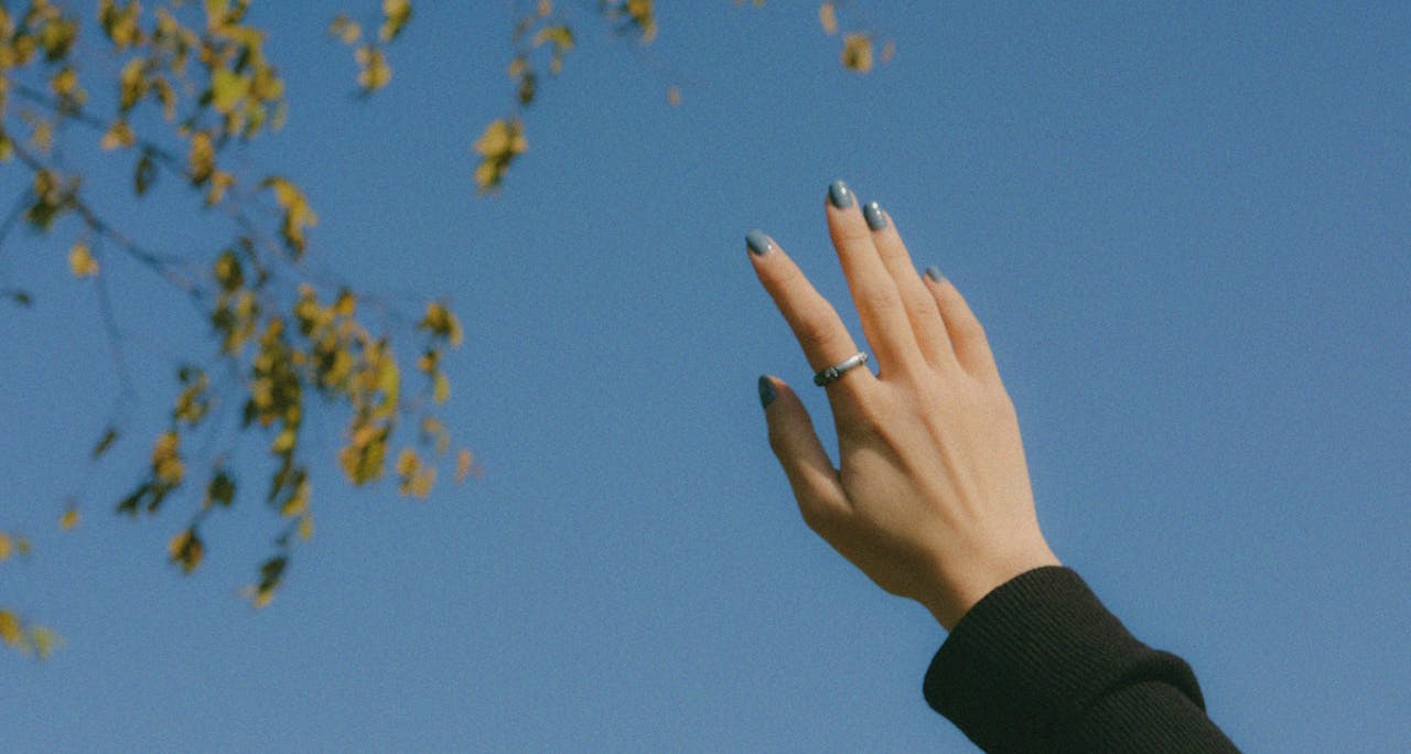 Foto de mitbg000: https://www.pexels.com/es-es/foto/mujer-mano-ramas-hojas-10662412/