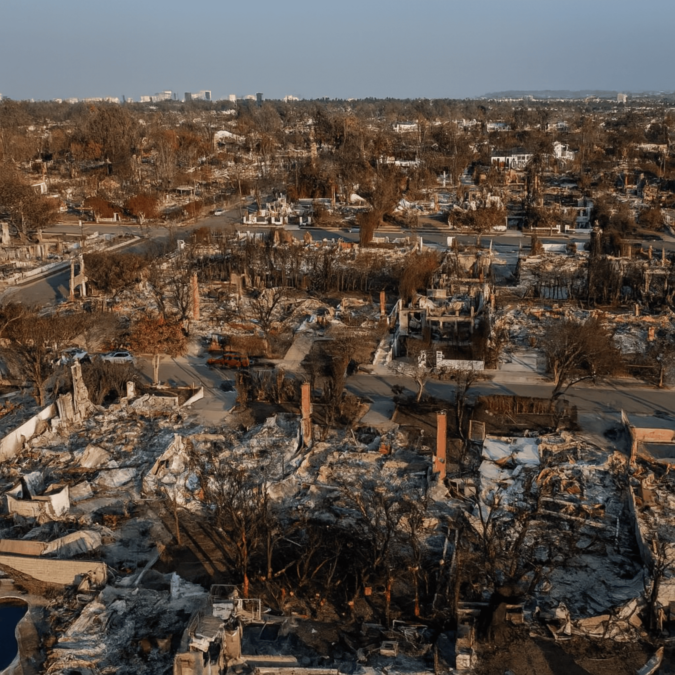 Lessons from the Palisades: Rebuilding After Fire