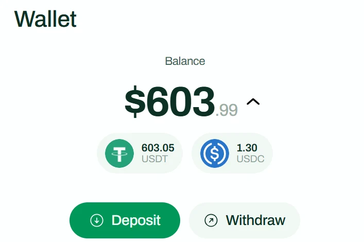 AllScale balance interface from the official Wallet Features guide